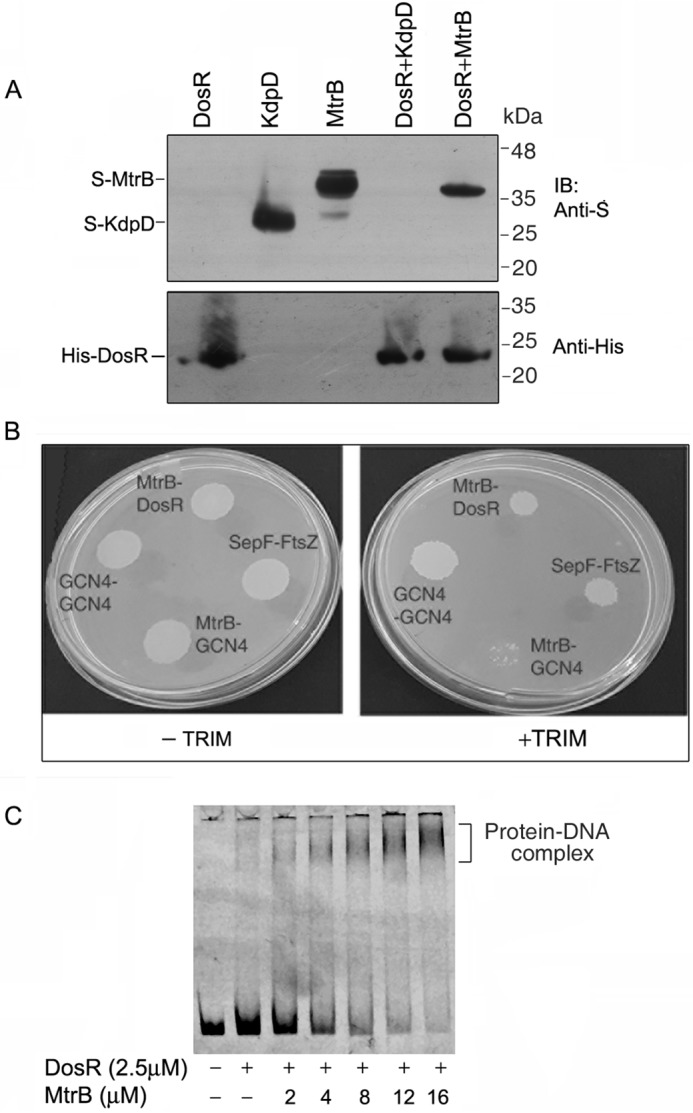 Figure 6.