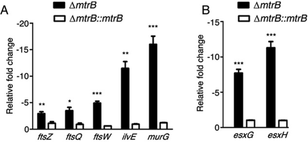 Figure 7.