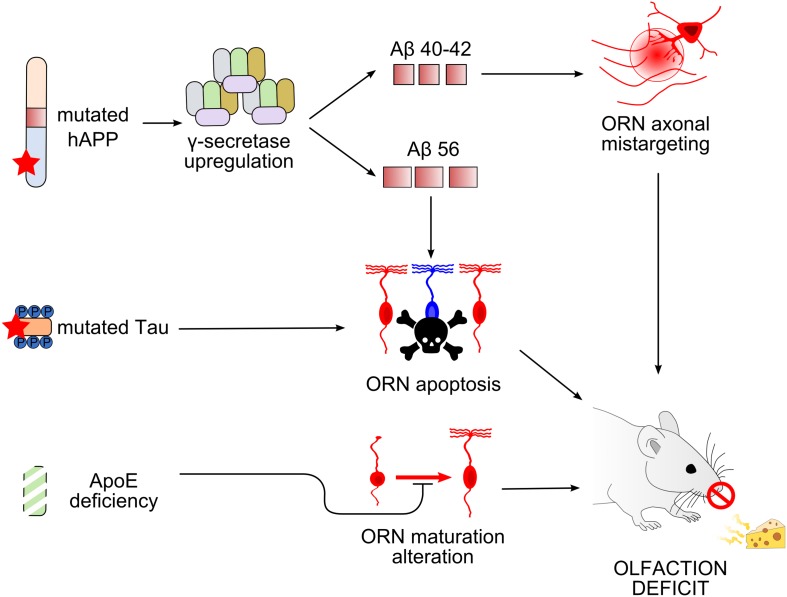 FIGURE 3