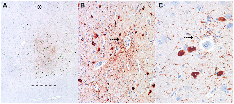 FIGURE 1.