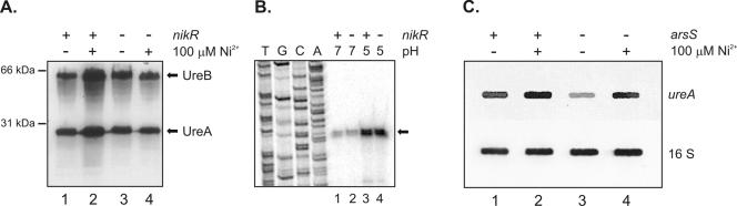 FIG. 6.