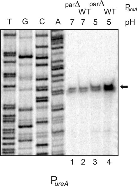 FIG. 5.