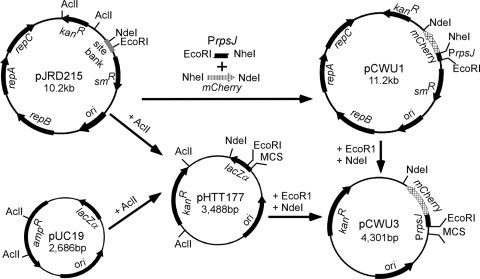 FIG. 1.