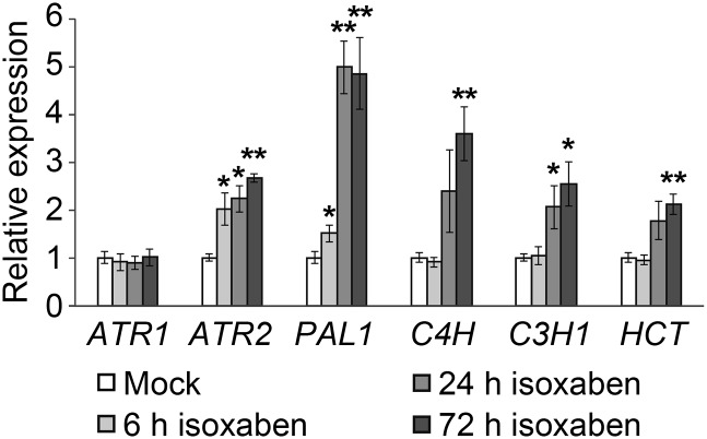 Figure 3.