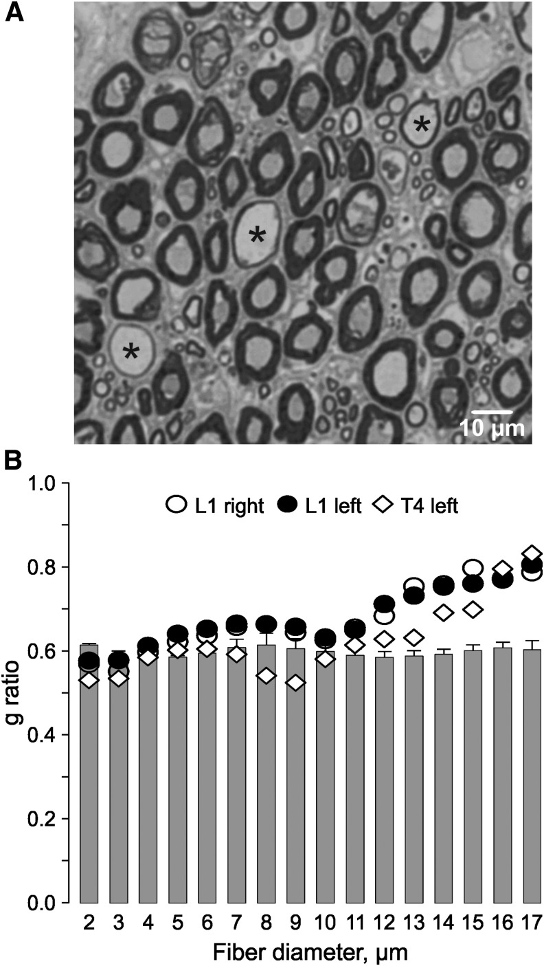 FIG. 5.