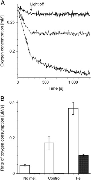 Fig. 9