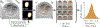 Fig. 5.