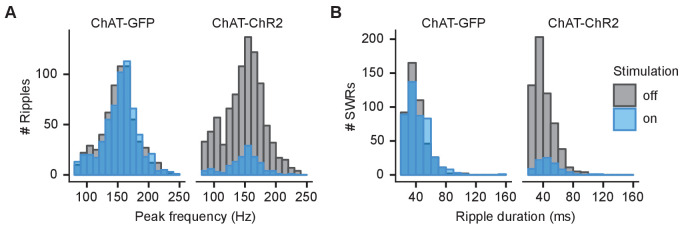 Figure 5—figure supplement 1.