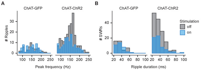 Figure 4—figure supplement 2.