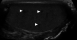 Fig. 14