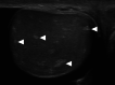 Fig. 13