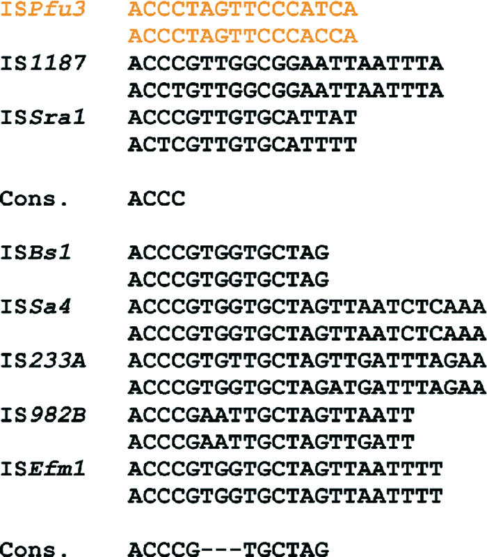 FIG. 12.