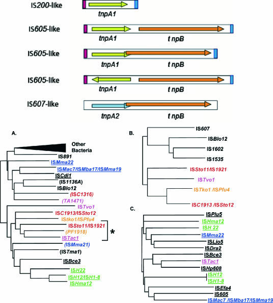 FIG. 13.