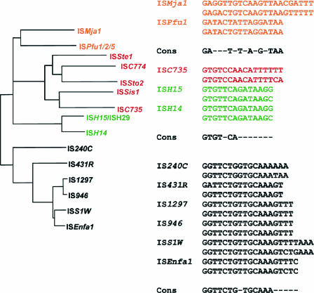 FIG. 6.