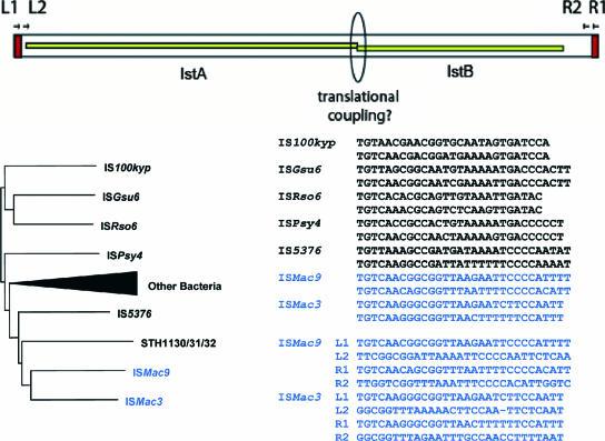 FIG. 7.