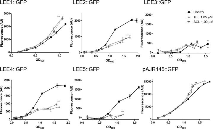 FIG 2