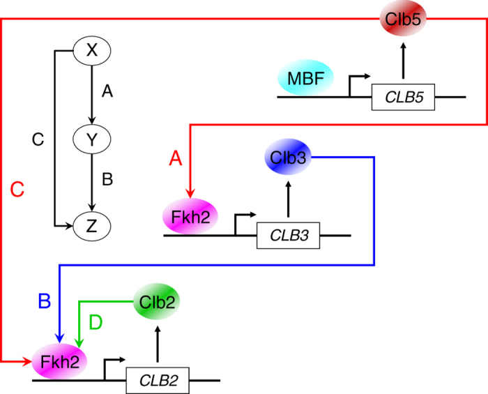 Fig. 6