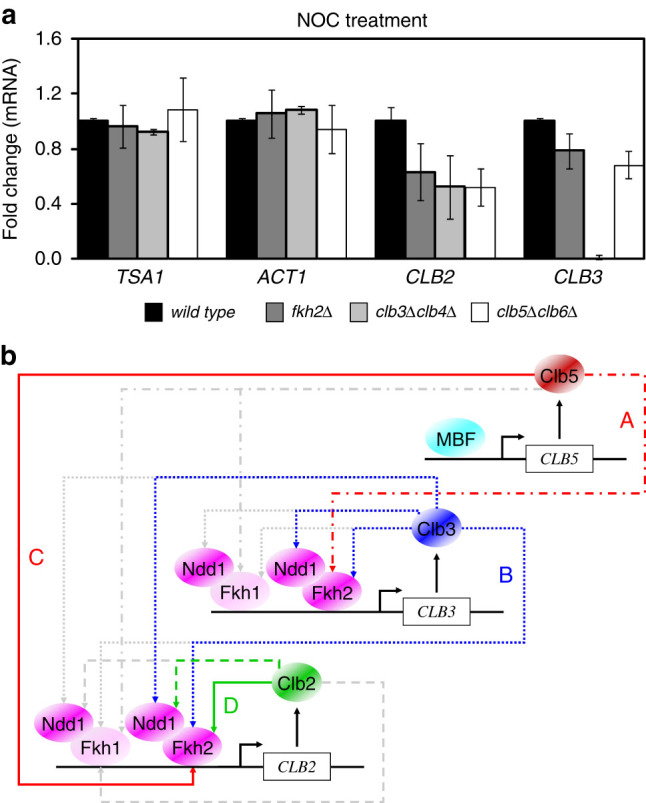 Fig. 4