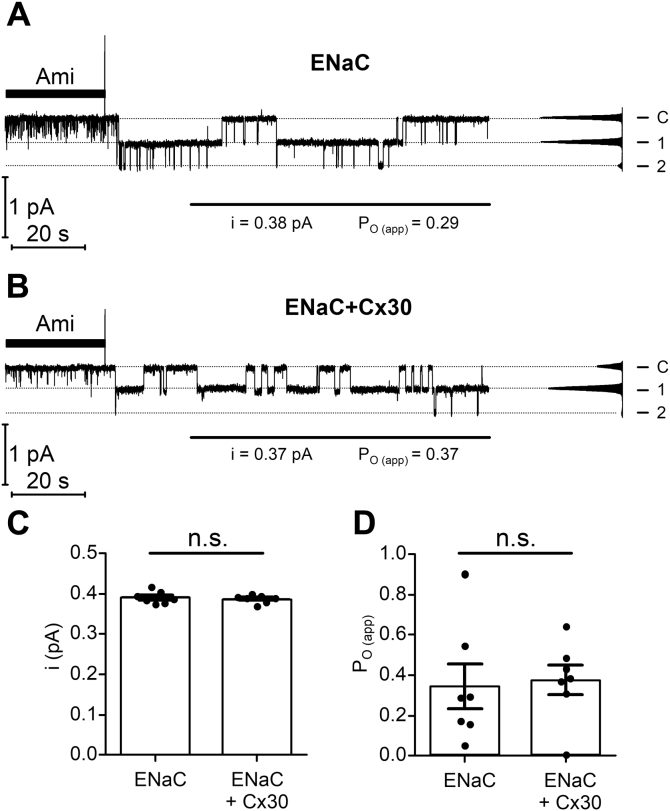 Figure 11