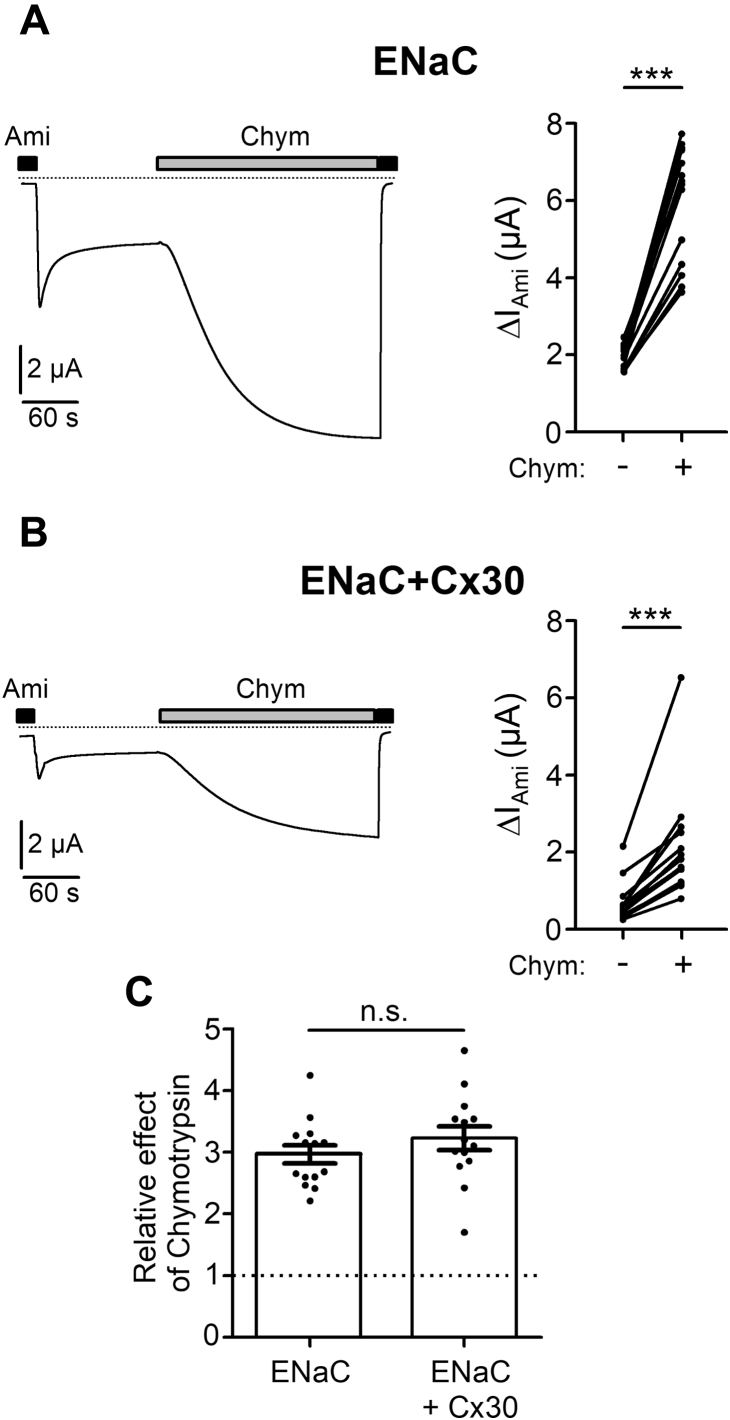 Figure 10