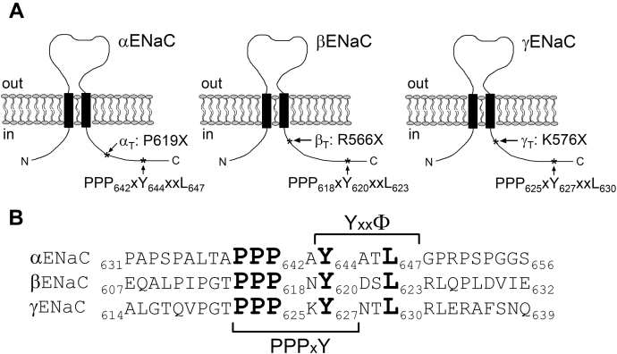 Figure 13