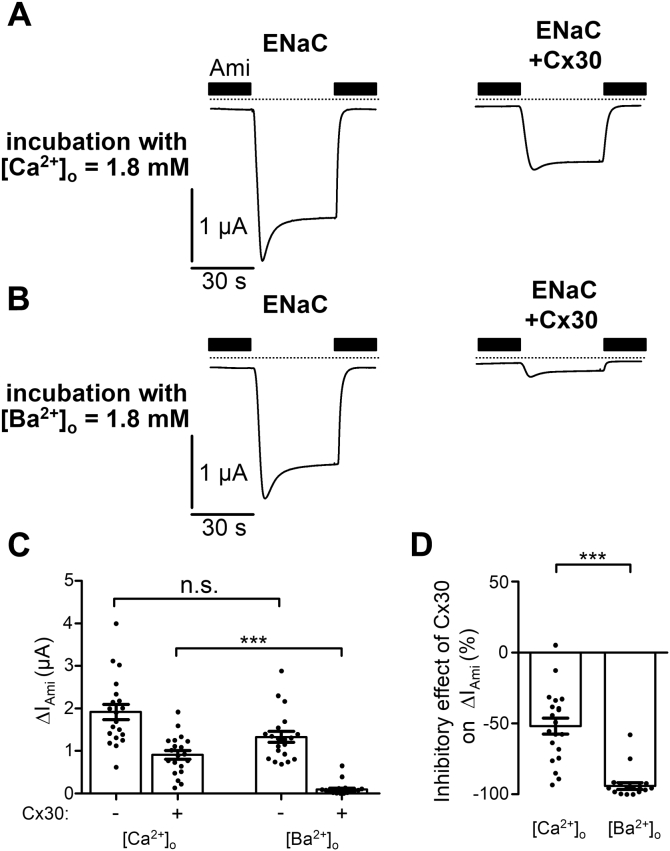 Figure 7