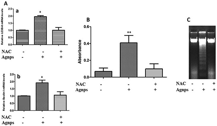 Fig. 8