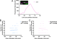 Figure 3—figure supplement 3.