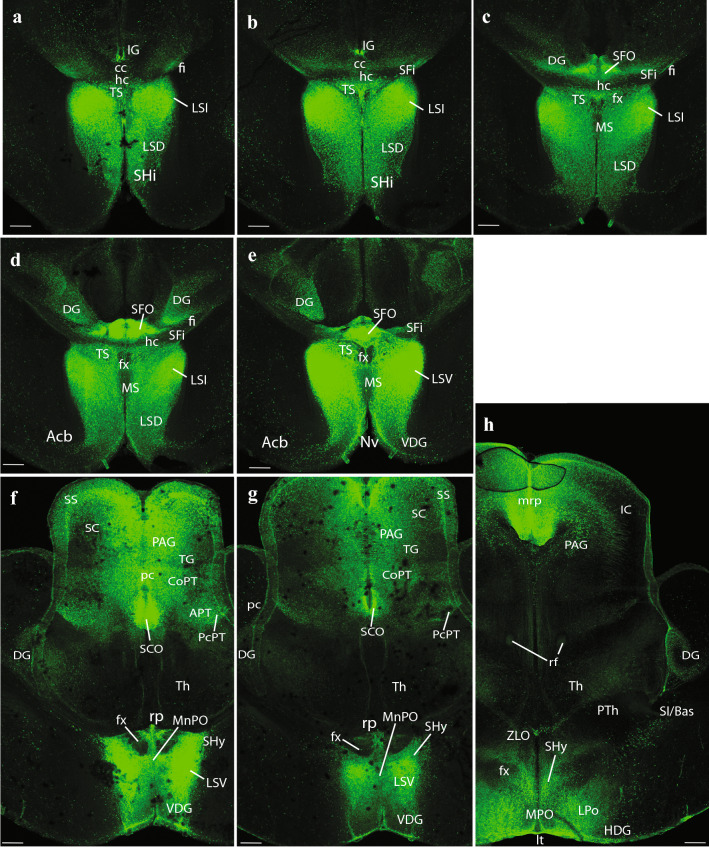 Fig. 9