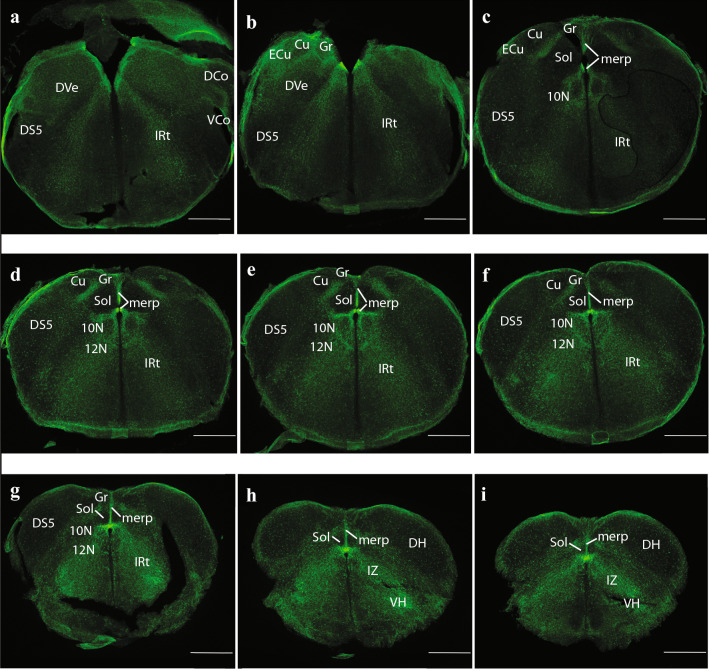 Fig. 12