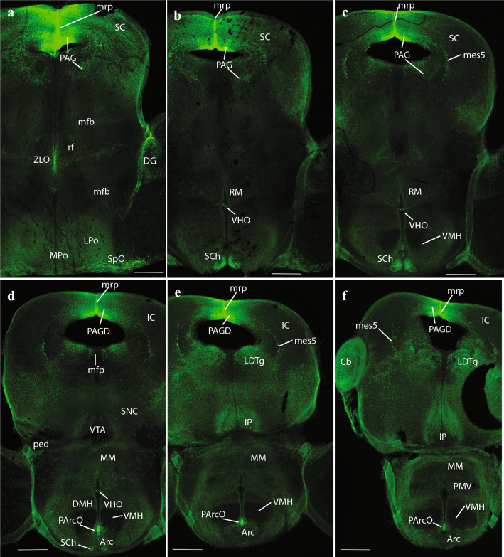 Fig. 10