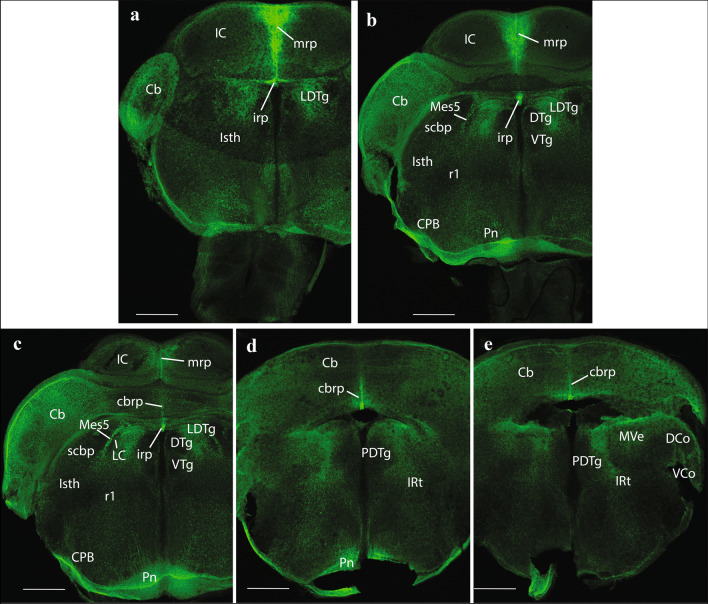 Fig. 11