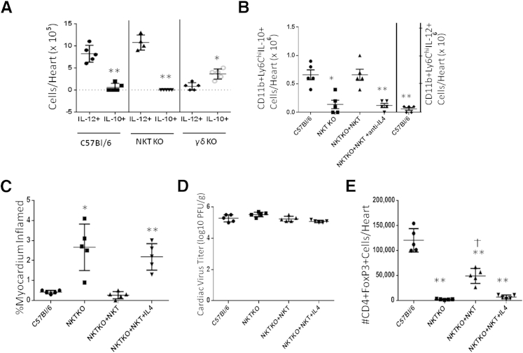 Figure 6