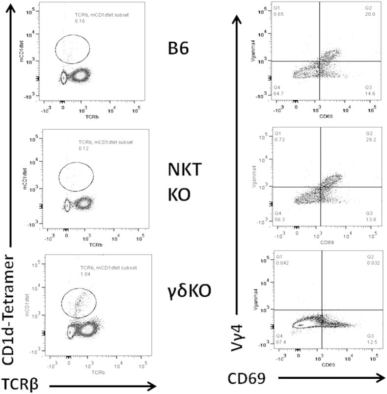 Figure 5