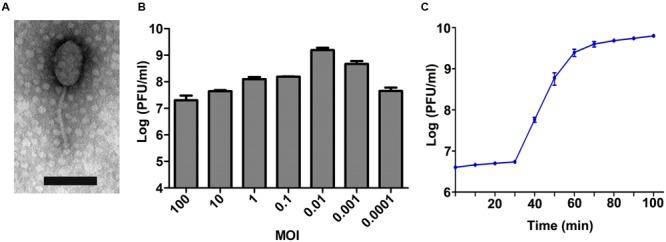 FIGURE 1