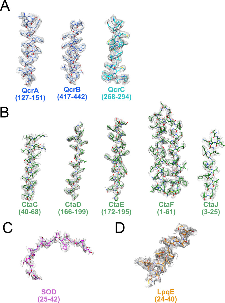 Figure 1—figure supplement 3.