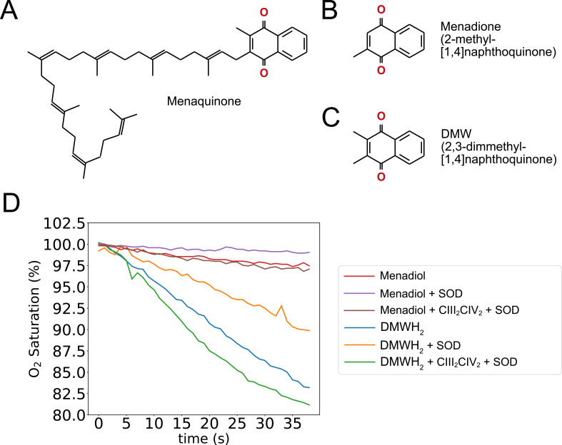 Figure 2—figure supplement 1.