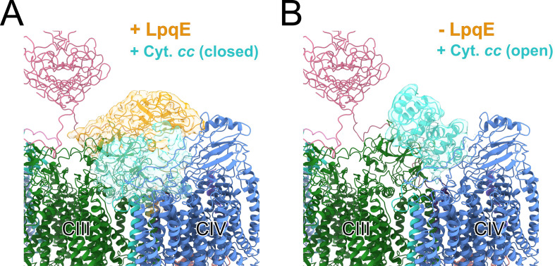 Figure 1—figure supplement 2.