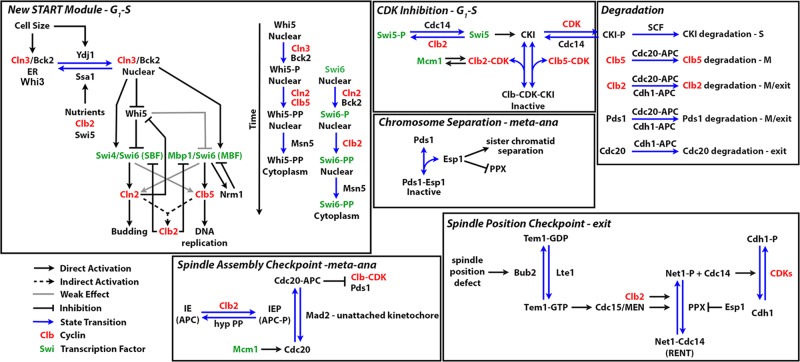 FIGURE 1: