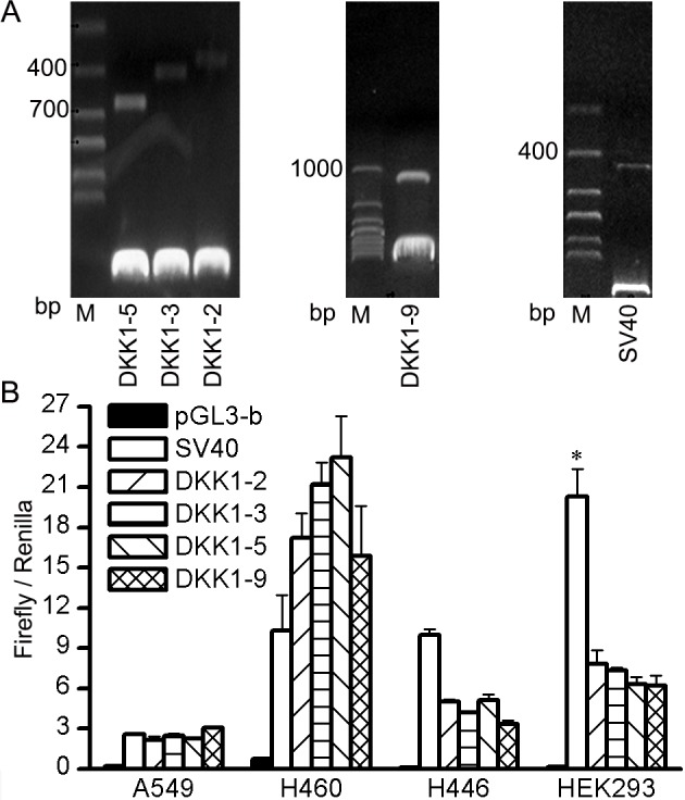 Figure 2.