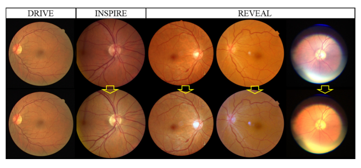 Fig. 3