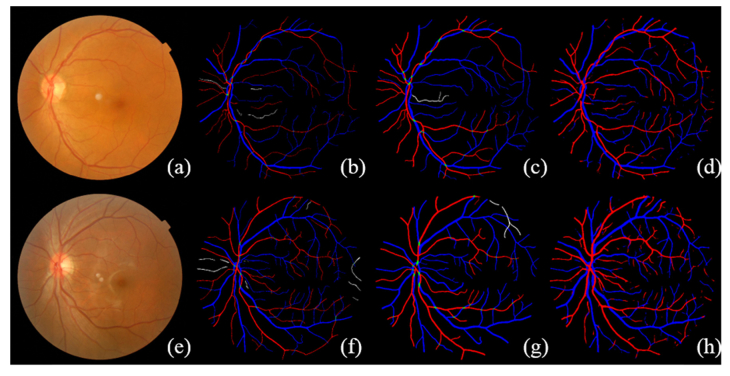 Fig. 7