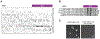 Fig. 6: