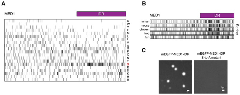 Fig. 6: