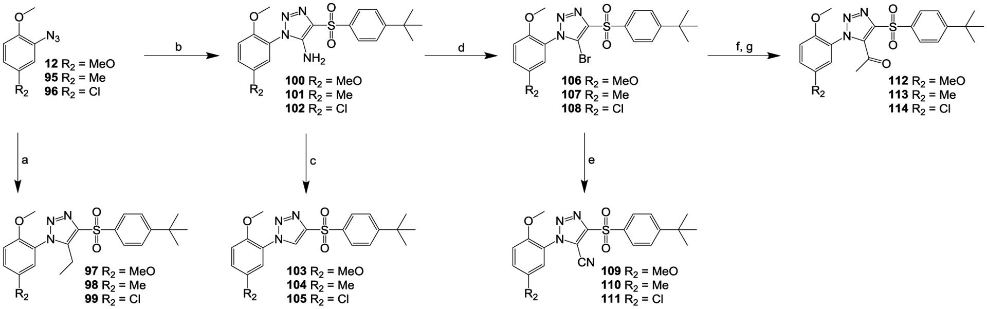 Scheme 4