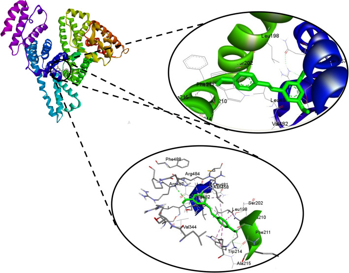 Figure 10