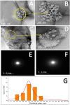 Fig 2