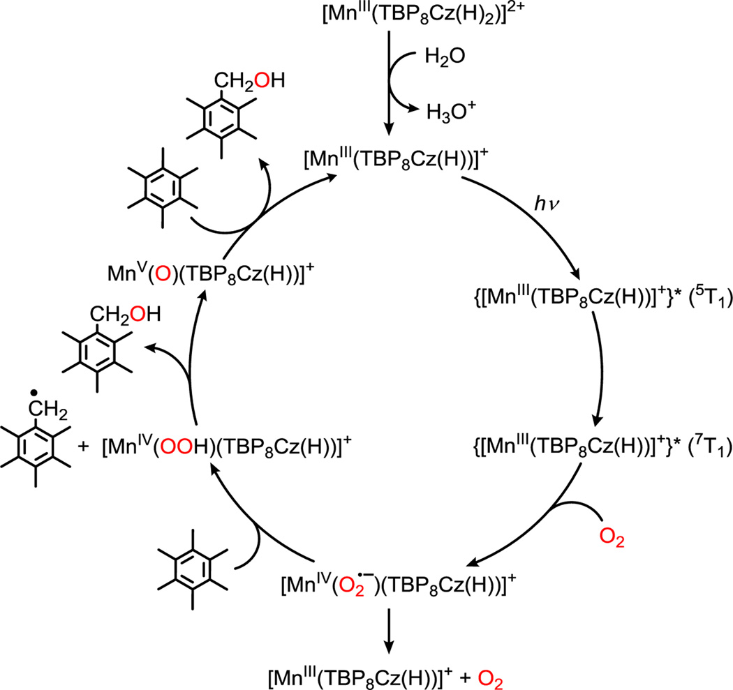 Scheme 2