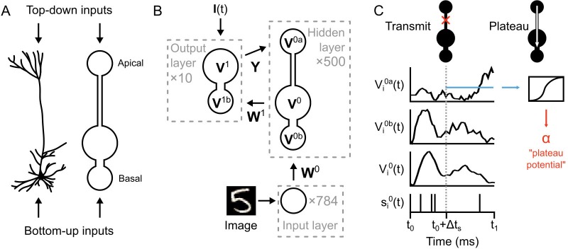 Figure 3.