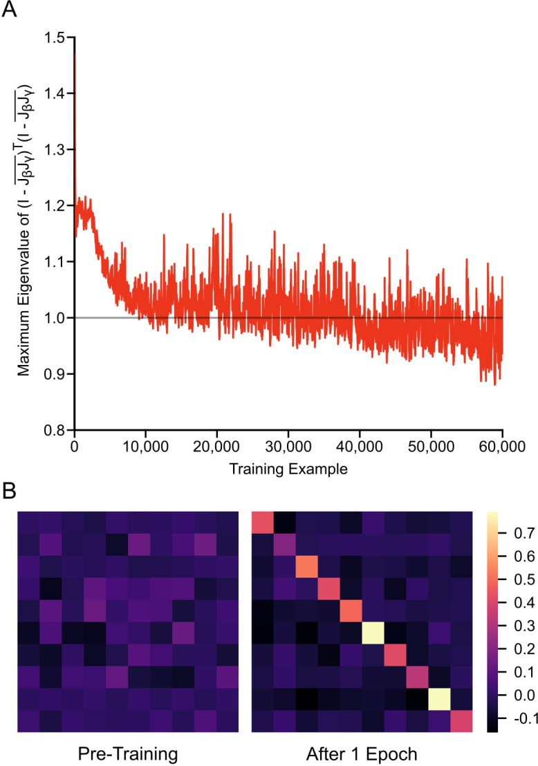 Figure 5—figure supplement 1.